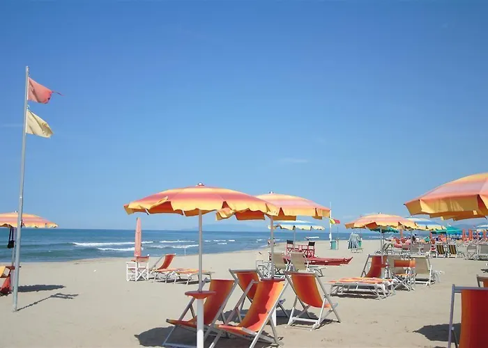 Tina 비아레지오