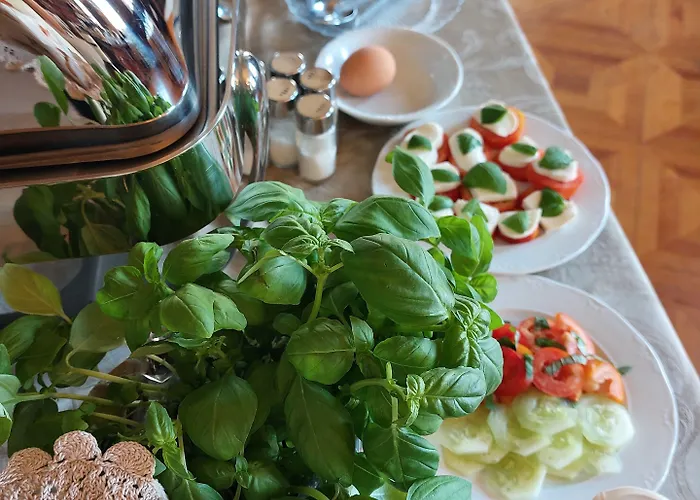 Tina 3* 비아레지오